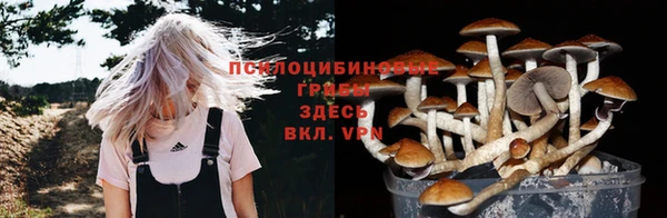 мдма Вяземский